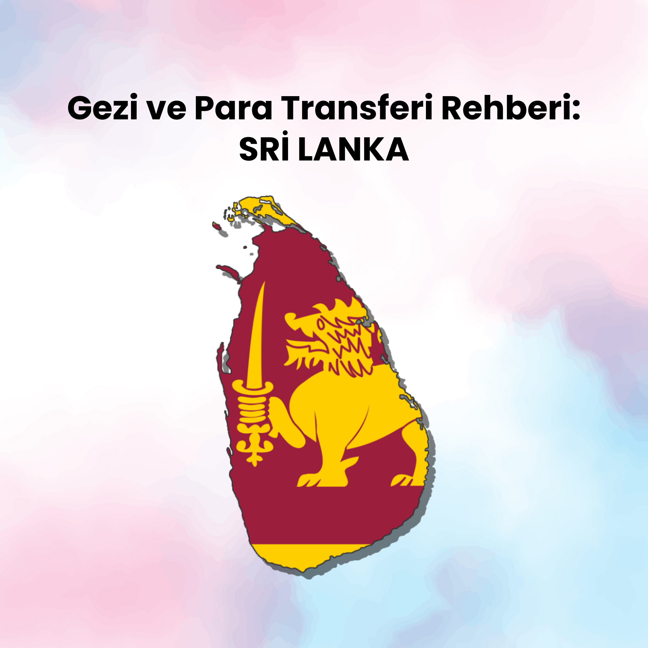 Sri Lanka'ya para gönderme